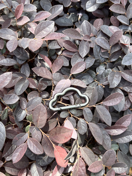 Keychains: A Fashion Statement in a Small Space