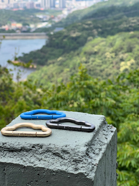 Carabiners: Tiny Guardians of the Peak